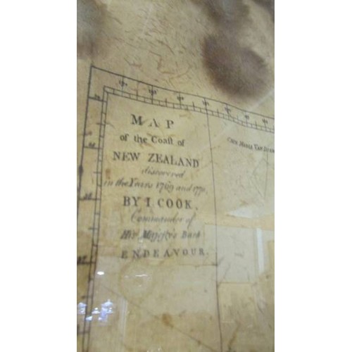 1453 - An unusual framed and glazed map of New Zealand on a possum skin.