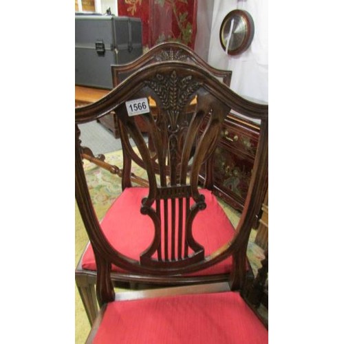 1566 - A pair of camel back dining chairs.