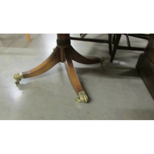 1585 - An oval coffee table with glass top on brass lion paw casters.