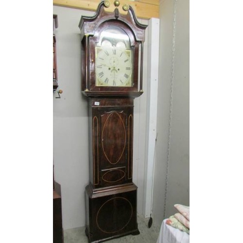 1626 - A mahogany 8 day painted dial Grandfather clock, Robt Jones, Connay,