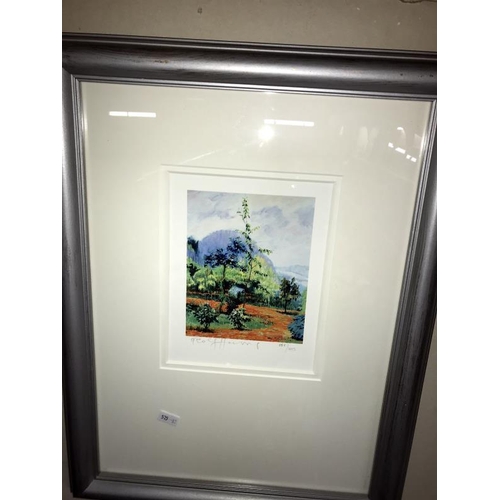 423 - 2 Rolf Harris limited edition prints (blue - stone art Lincoln) (151 of 495) 'tropical vegetation & ... 