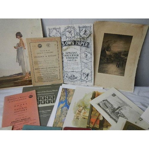 509 - A good lot of assorted ephemera.