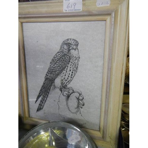 619 - A framed study of a hawk signed Pam Mullings.