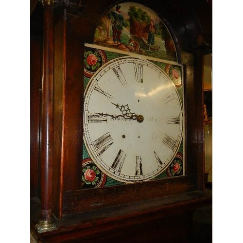 800 - A 30 hour Grandfather clock in working order.