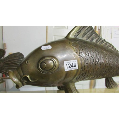 1246 - A large bronze Koi carp, 58 cm long and 27 cm high.