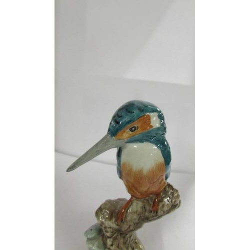 1270 - A Jacob's limited edition Kingfisher.