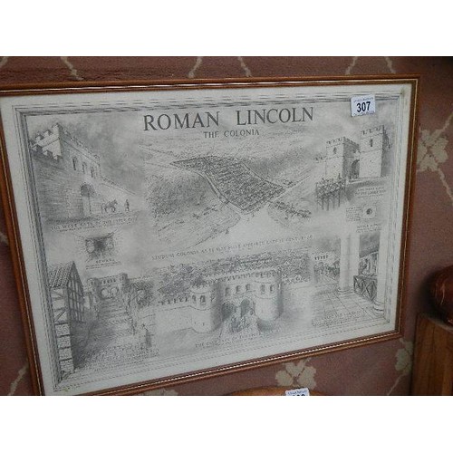 307 - A framed and glazed map 'Roman Lincoln, The Colonia'   COLLECT ONLY.