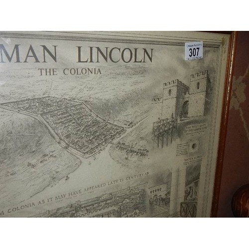 307 - A framed and glazed map 'Roman Lincoln, The Colonia'   COLLECT ONLY.