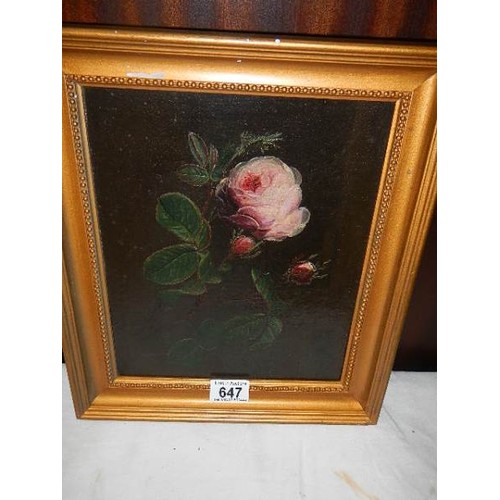 647 - A gilt framed oil on board painting of a rose. COLLECT ONLY.