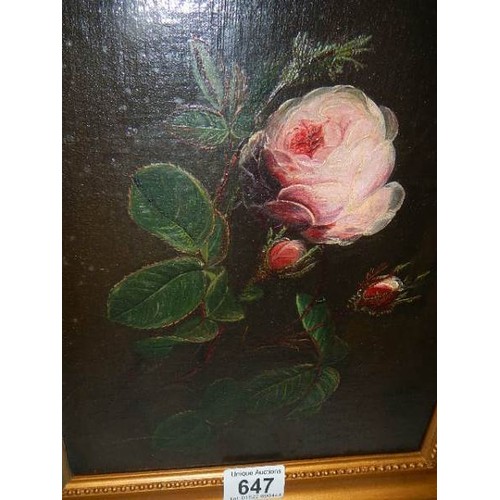 647 - A gilt framed oil on board painting of a rose. COLLECT ONLY.