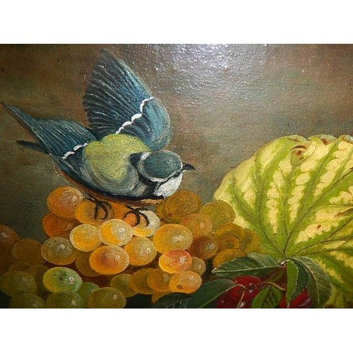 648 - An oil on board painting of a blue tit on fruit. COLLECT ONLY.