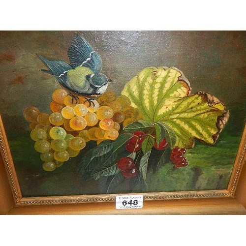 648 - An oil on board painting of a blue tit on fruit. COLLECT ONLY.