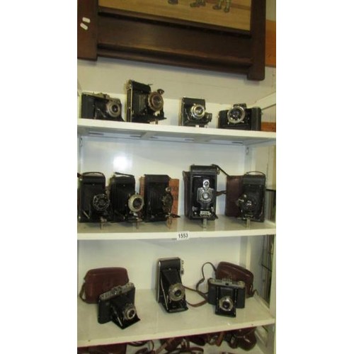 1553 - Twelve vintage folding camera's.