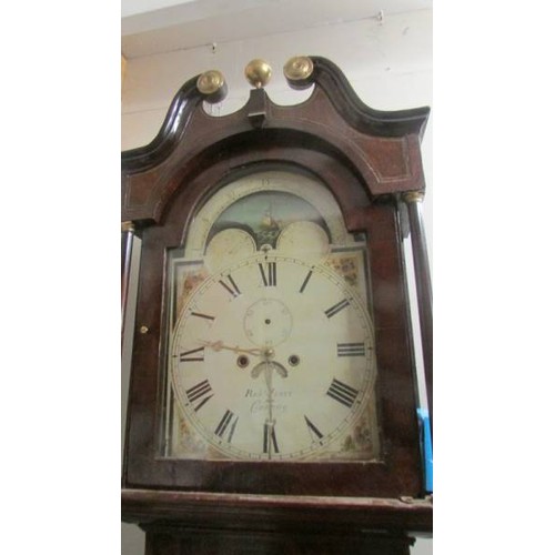 1578 - An 8 day Grandfather clock marked Robt. Jones, Connay. COLLECT ONLY.