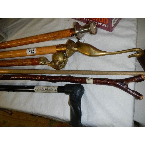 812 - A quantity of walking sticks, some with brass handles COLLECT ONLY.