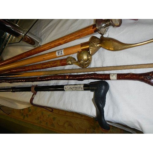 812 - A quantity of walking sticks, some with brass handles COLLECT ONLY.