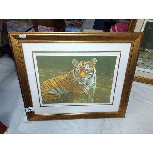 901 - 3 gilt framed and glazed limited edition Stephen Gayford prints:- Shallow Waters 849/1175, Sleepy He... 