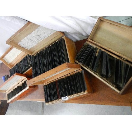 1598 - Five boxes of glass slides including many Lincolnshire.  COLLECT ONLY.