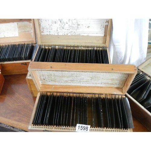 1598 - Five boxes of glass slides including many Lincolnshire.  COLLECT ONLY.