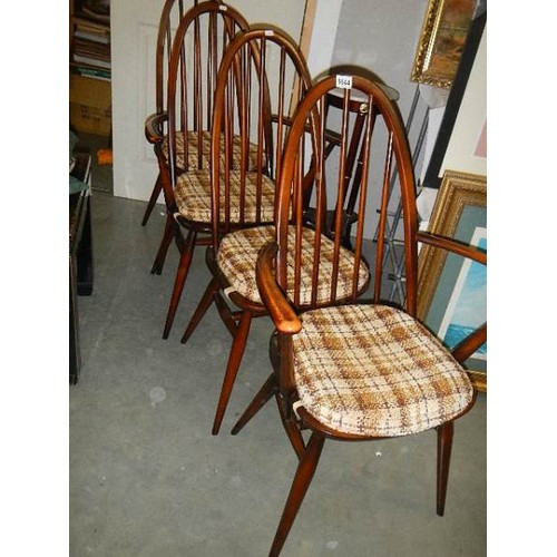 1644 - A good set of Ercol dIning chairs, COLLECT ONLY.