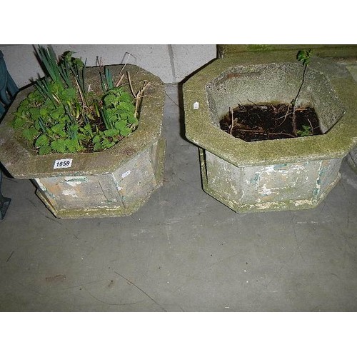 1659 - Two garden planters, COLLECT ONLY.