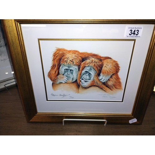 343 - 3 framed and glazed limited edition monkey related prints signed Stephen Gayford