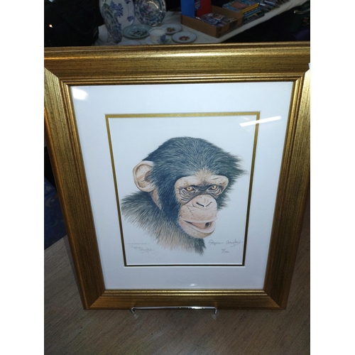 343 - 3 framed and glazed limited edition monkey related prints signed Stephen Gayford