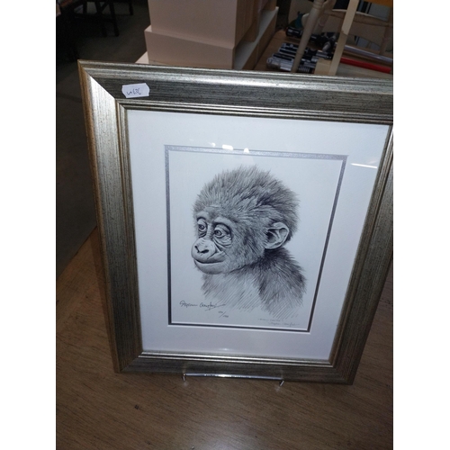 343 - 3 framed and glazed limited edition monkey related prints signed Stephen Gayford