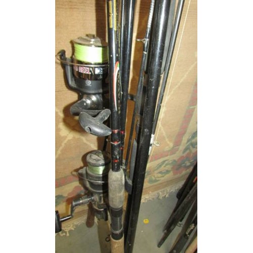 71 - A quantity of fishing rods and two fishing reels. COLLECT ONLY.