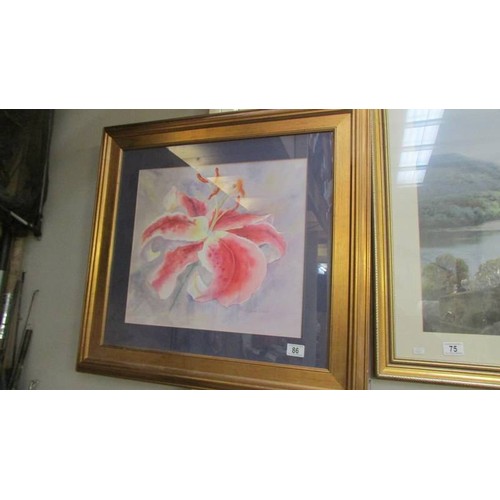 86 - A framed and glazed print of a lily, COLLECT ONLY.