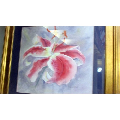 86 - A framed and glazed print of a lily, COLLECT ONLY.