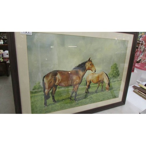 101 - A framed and glazed watercolour of mare with foal signed Rex Flood, COLLECT ONLY.