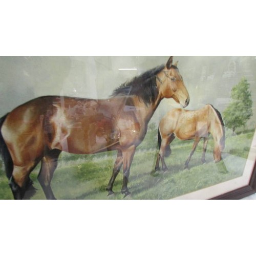 101 - A framed and glazed watercolour of mare with foal signed Rex Flood, COLLECT ONLY.