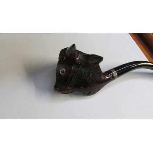 298 - A pair of opera glasses, a bull head pipe and a cheroot holder.