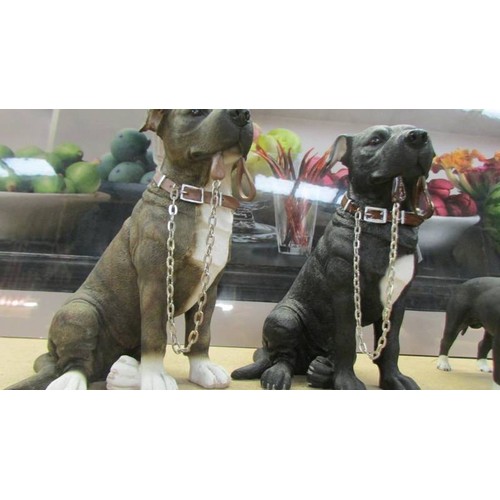 373 - Four pit bull terrier figures.