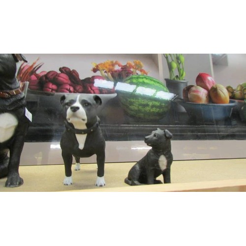 373 - Four pit bull terrier figures.