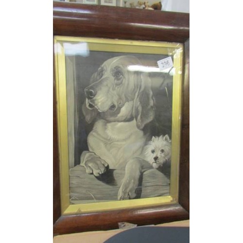 396 - A framed and glazed study of a bloodhound and a terrier, COLLECT ONLY.