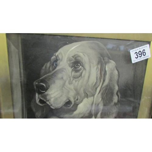 396 - A framed and glazed study of a bloodhound and a terrier, COLLECT ONLY.