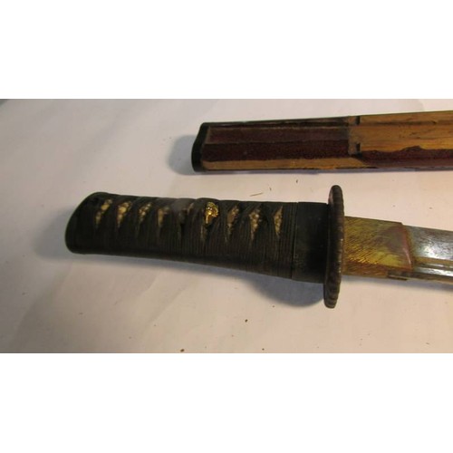 2151 - A pair of 19th Century Japanese Kutani swords with chagreen hilts, 1:- 44.5 cm long, blade 30.5 cm, ... 