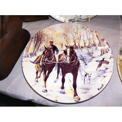 1045 - A quantity of horse related collectors plates including 12 Wedgwood & 4 Kaiser porcelain. COLLECT ON... 