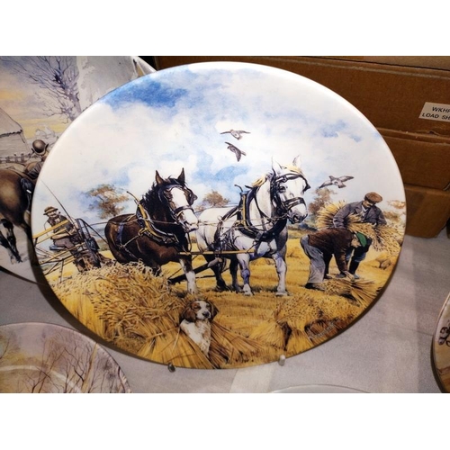 1045 - A quantity of horse related collectors plates including 12 Wedgwood & 4 Kaiser porcelain. COLLECT ON... 