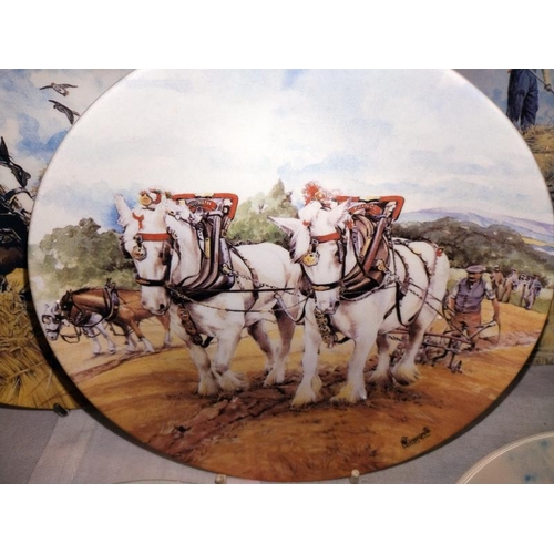 1045 - A quantity of horse related collectors plates including 12 Wedgwood & 4 Kaiser porcelain. COLLECT ON... 