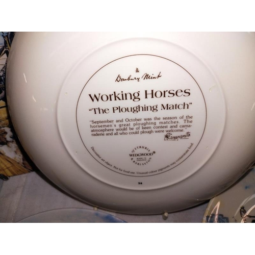 1045 - A quantity of horse related collectors plates including 12 Wedgwood & 4 Kaiser porcelain. COLLECT ON... 