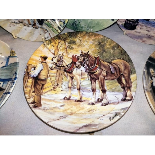 1045 - A quantity of horse related collectors plates including 12 Wedgwood & 4 Kaiser porcelain. COLLECT ON... 