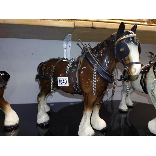 1049 - 3 shire horses. COLLECT ONLY.