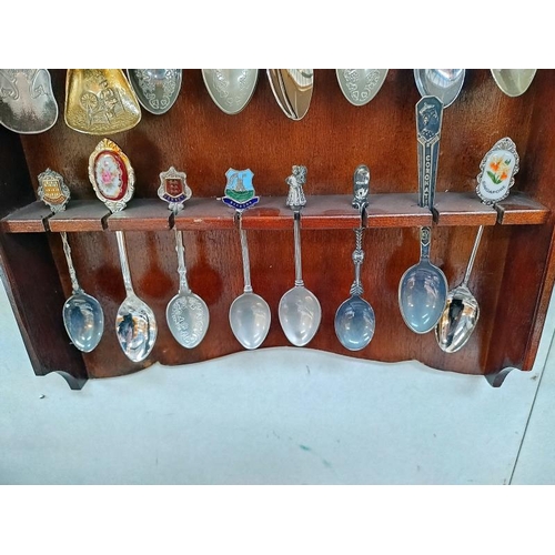 41 - A selection of tourist collectors spoons on rack