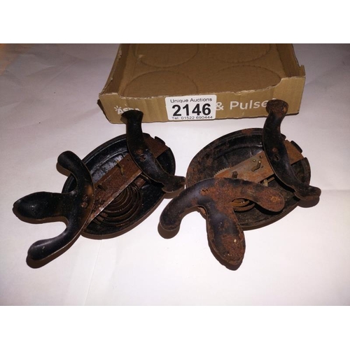 2146 - A pair of early 20th century tin plate clockwork tortoises, no markings, possibly Gunnthermann