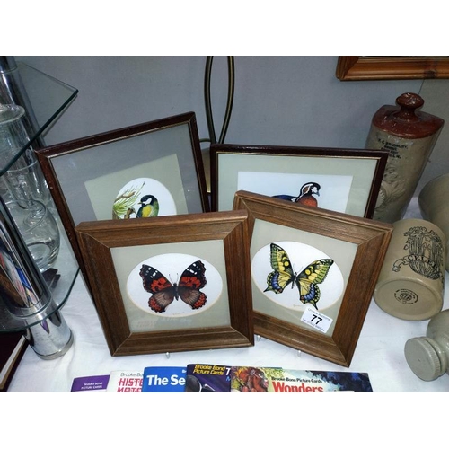 77 - 4 framed watercolours of birds and butterflies signed Goodwin 2002, COLLECT ONLY.