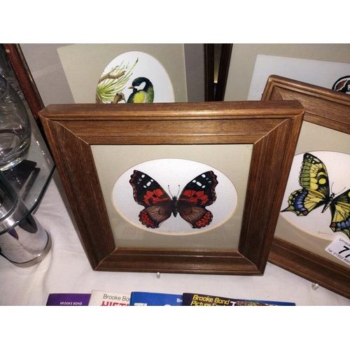 77 - 4 framed watercolours of birds and butterflies signed Goodwin 2002, COLLECT ONLY.