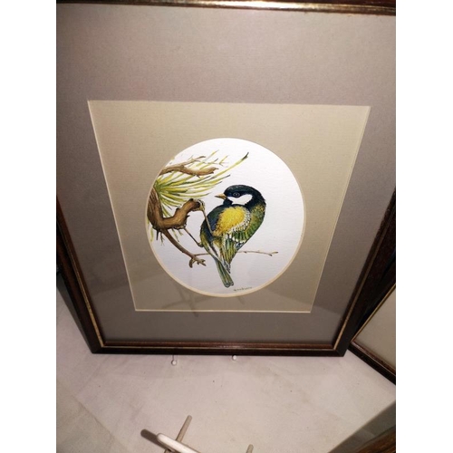 77 - 4 framed watercolours of birds and butterflies signed Goodwin 2002, COLLECT ONLY.